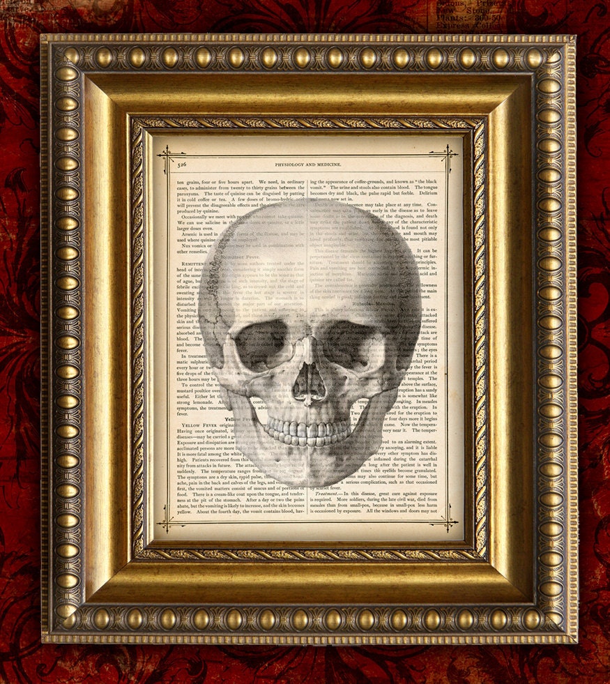 Vintage Color Art Print 8x10 recycled upcycled Antique 1883 Book Page HUMAN ANATOMY SKULL Dictionary Art Print a102