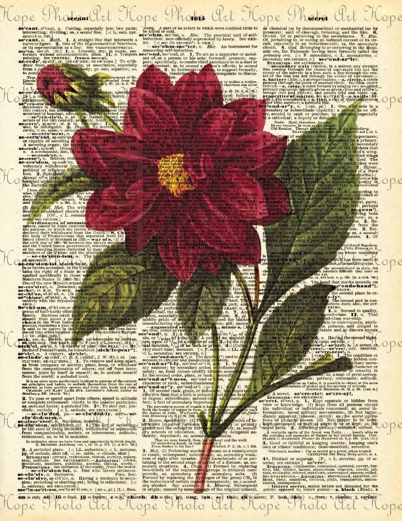 Red Botanical Dictionary Collage 8.5x11 - burlap feed sacks greeting cards paper supplies pillows tea towels - U Print 300 dpi