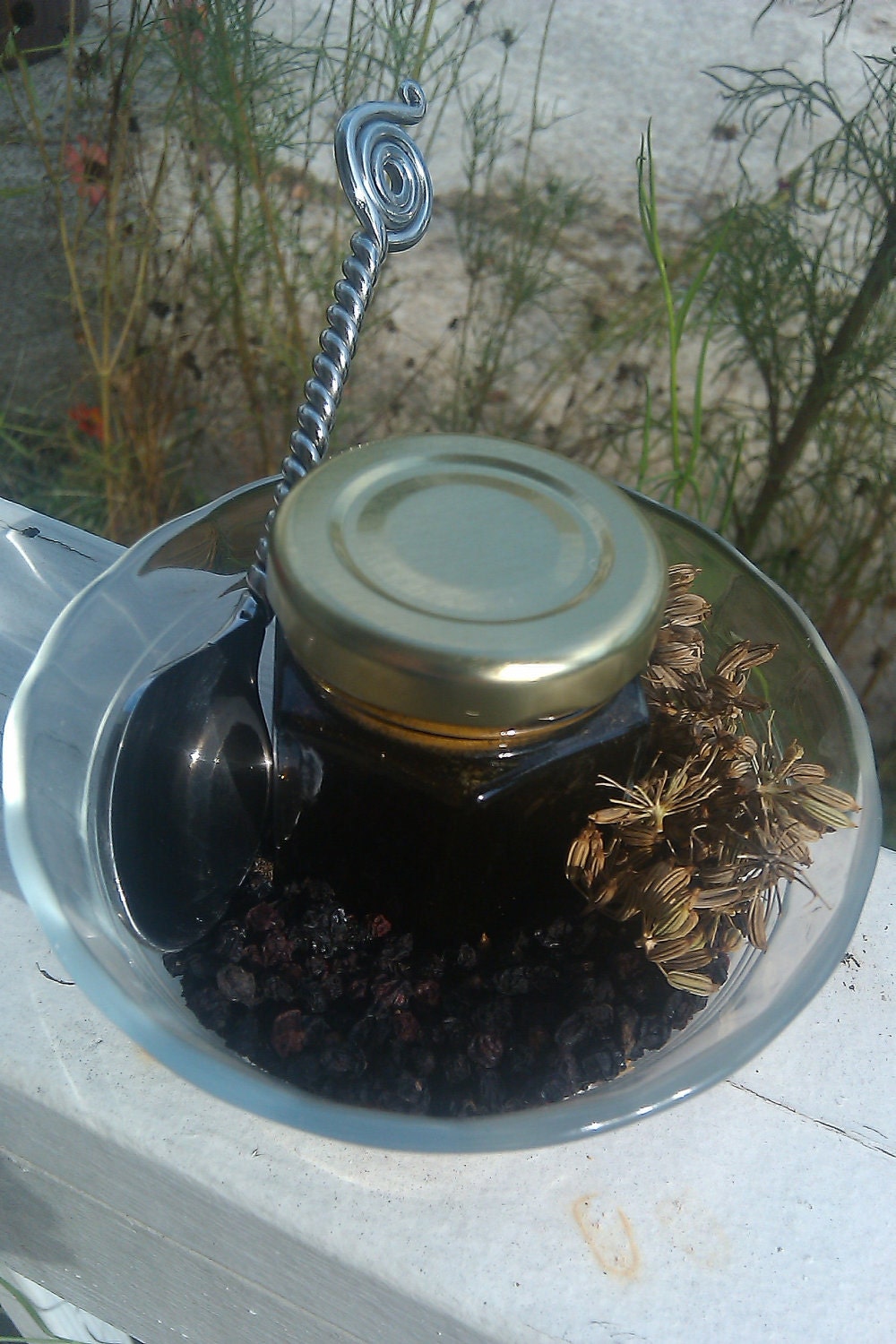 Elderberry and Fennel Syrup