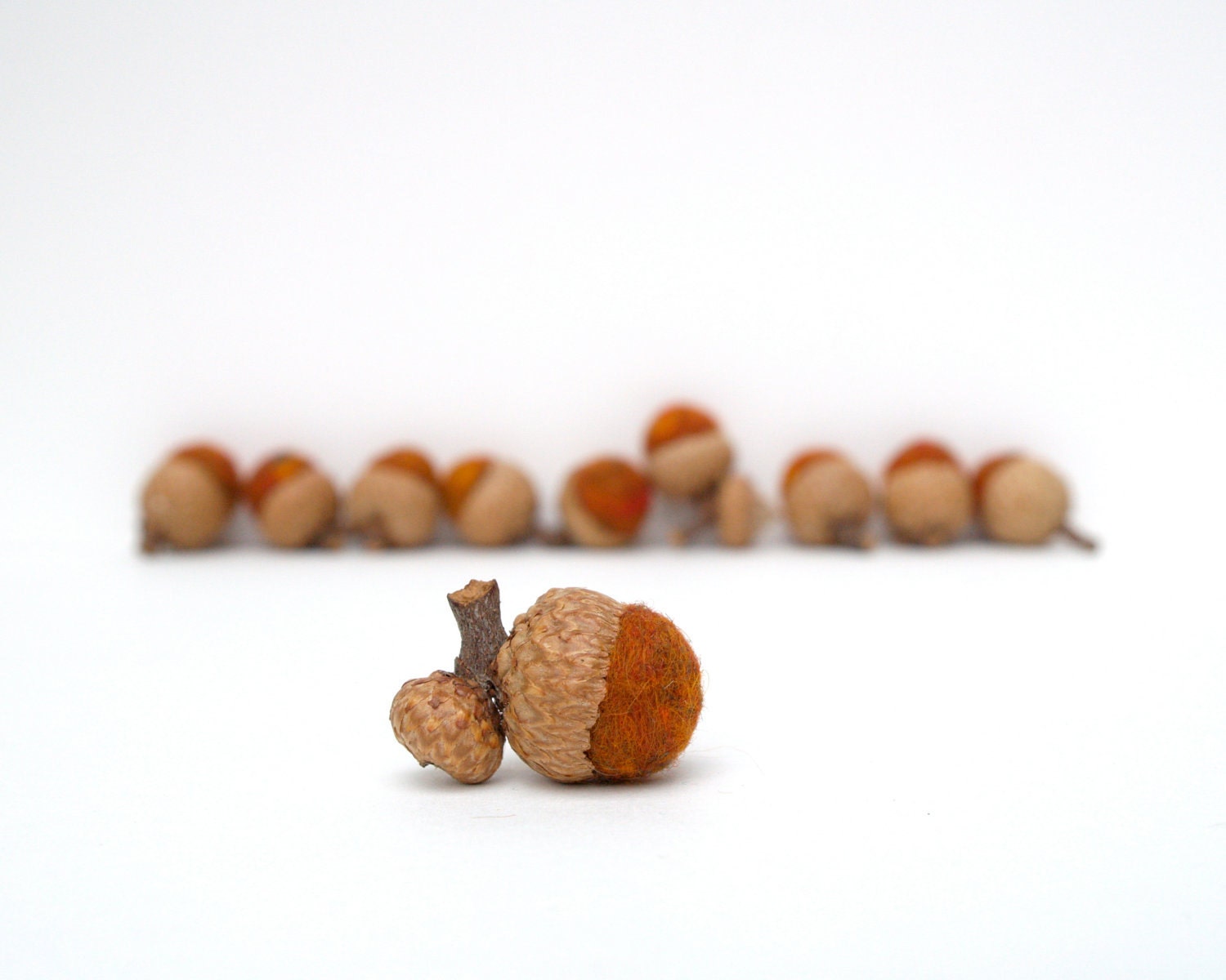 Acorn Gift Set Felt Wool Woodland Waldorf Colorful Chocolate Brown Rust Gray home decor Fall Thanksgiving Beach Cottage