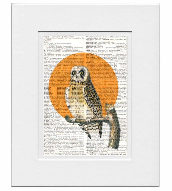 Halloween OWL Portrait1- ORIGINAL ARTWORK  print over an Upcycled Vintage Dictionary page Book art - Free Domestic Shipping