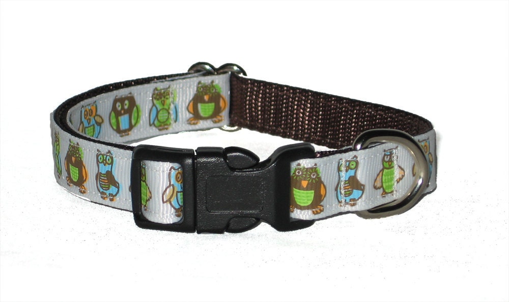 Hoot - 1/2" Dog Collar