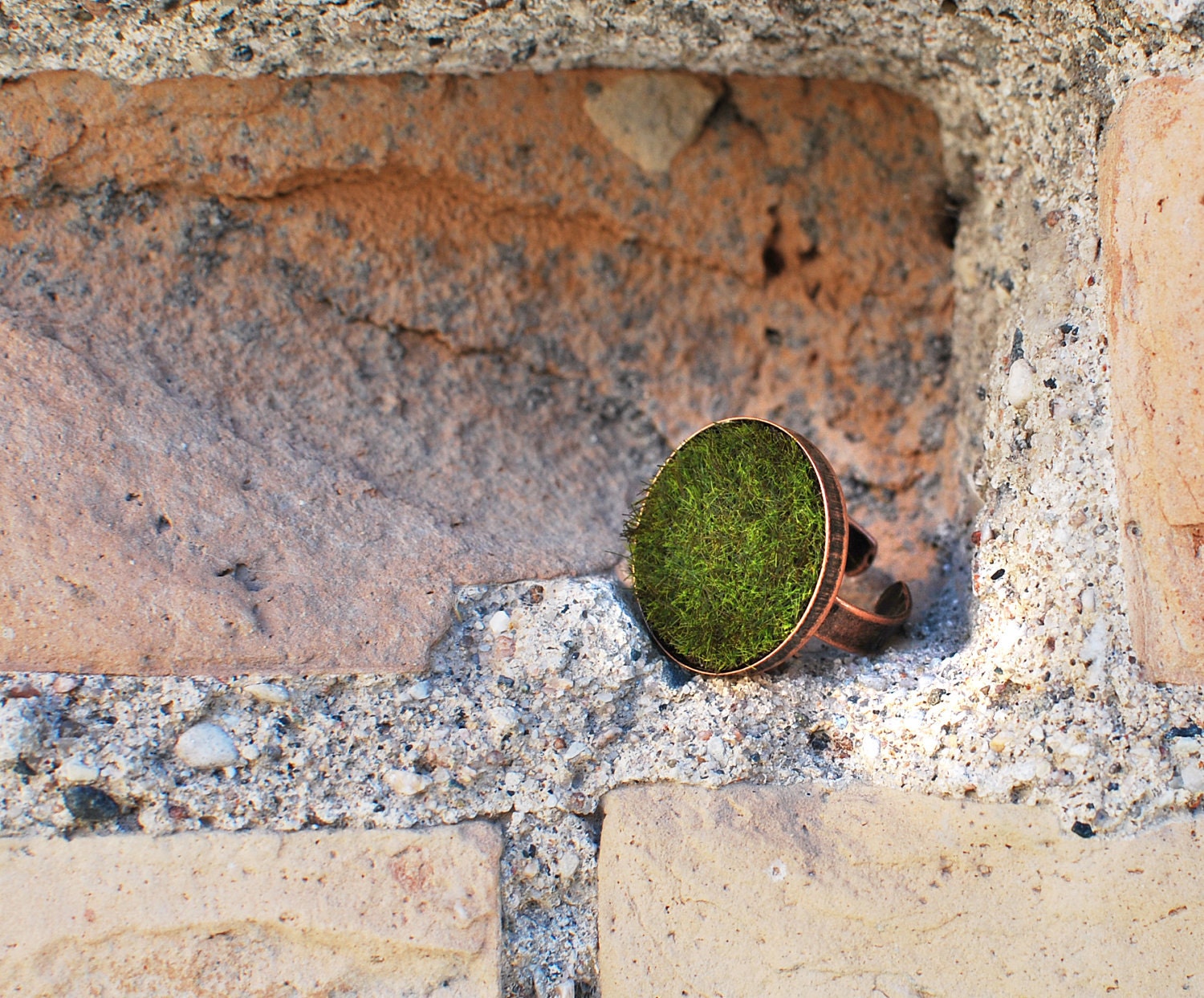 Grass Ring