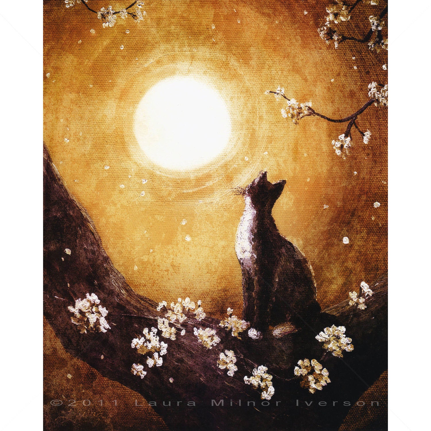 Tuxedo Cat Cherry Blossoms Grunge Golden Dark Art Print