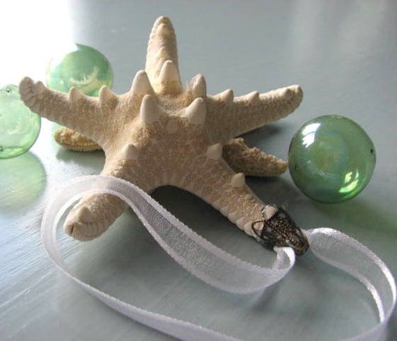 Пляж Декор Морская звезда Рождество Украшение - Seashell рождественские украшения