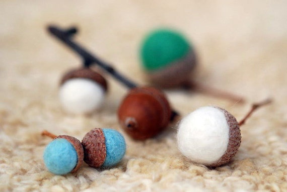 Autumn Acorns