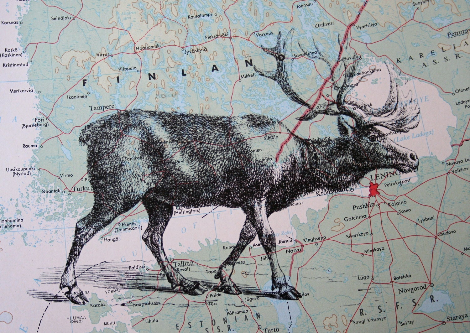 Reindeer Print on Vintage Map of Finland and Russia - 5 x 7