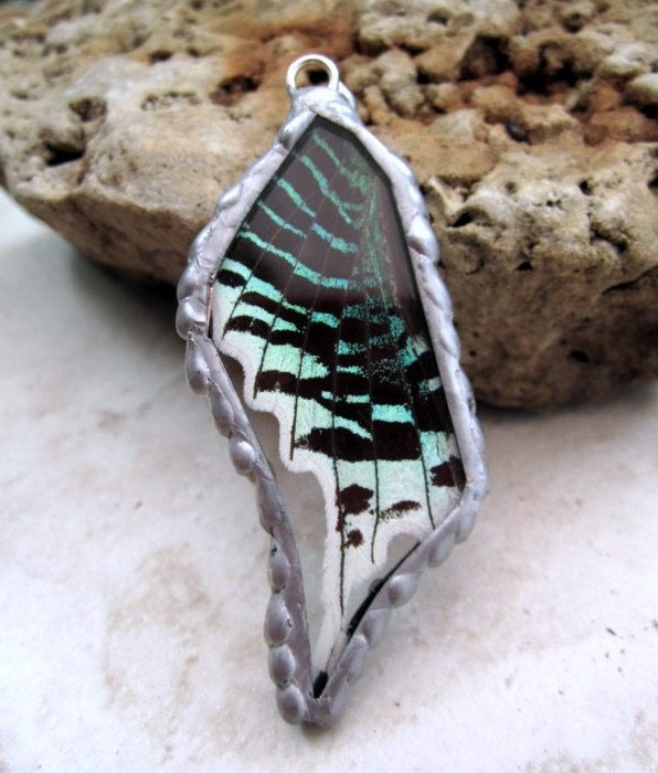 Real Butterfly Wing Jewelry Butterfly by DebrasDivineDesigns from etsy.com