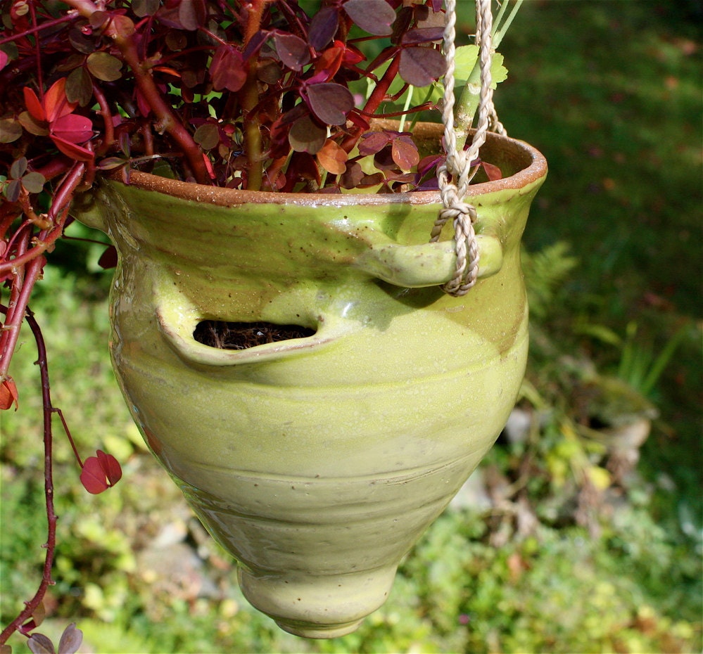 Strawberry Pot Hanging Planter in Yellow and Green Stoneware