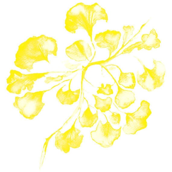 Sea Fan in Marigold IV Print- driftwoodinteriors