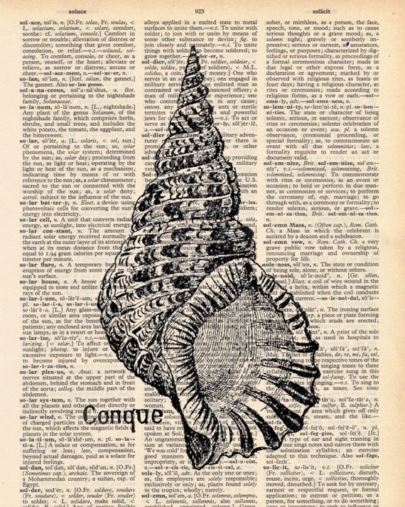 Vintage Dictionary Conque Shell Print - Shell print plus FREE 5x7 monogram