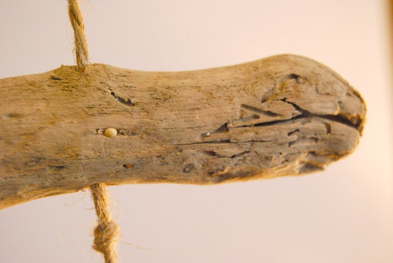 Driftwood mobile