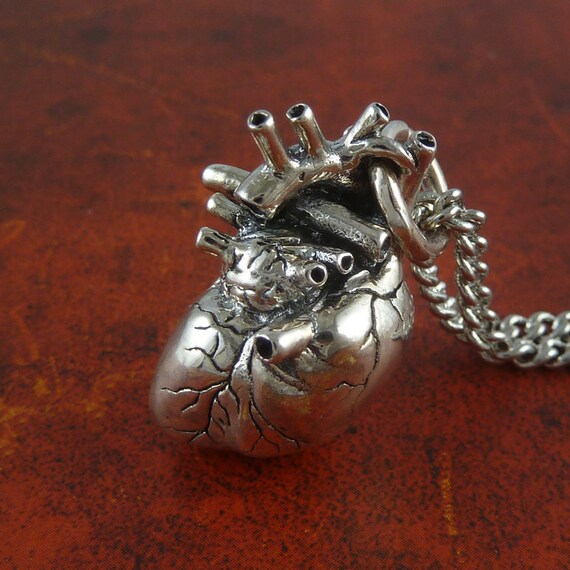 Anatomical Heart Necklace Sterling Silver Anatomical Heart Pendant on 24" Antique Silver Chain