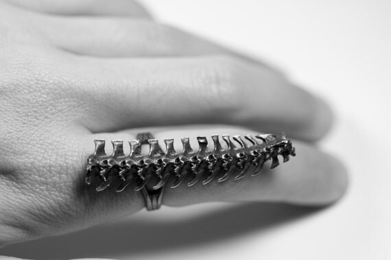 djed. rattlesnake spine ring.