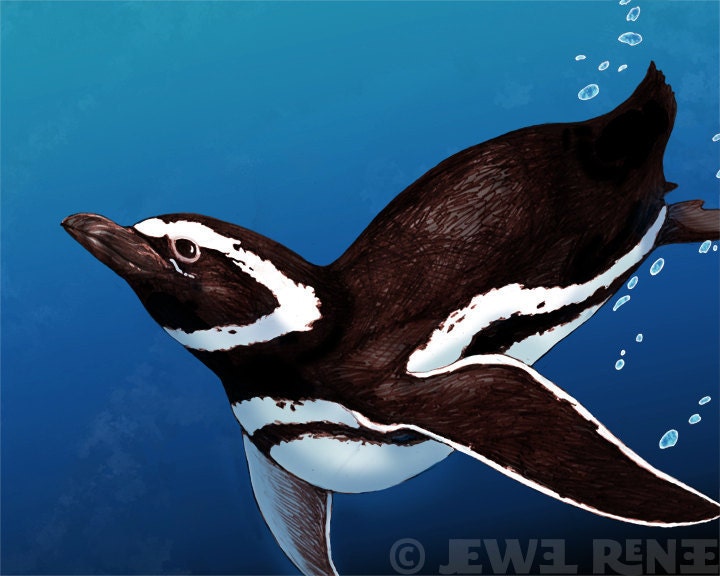 Penguin Art 4x6" Print - Teal black White Aquatic Art - Watercolor Inspired