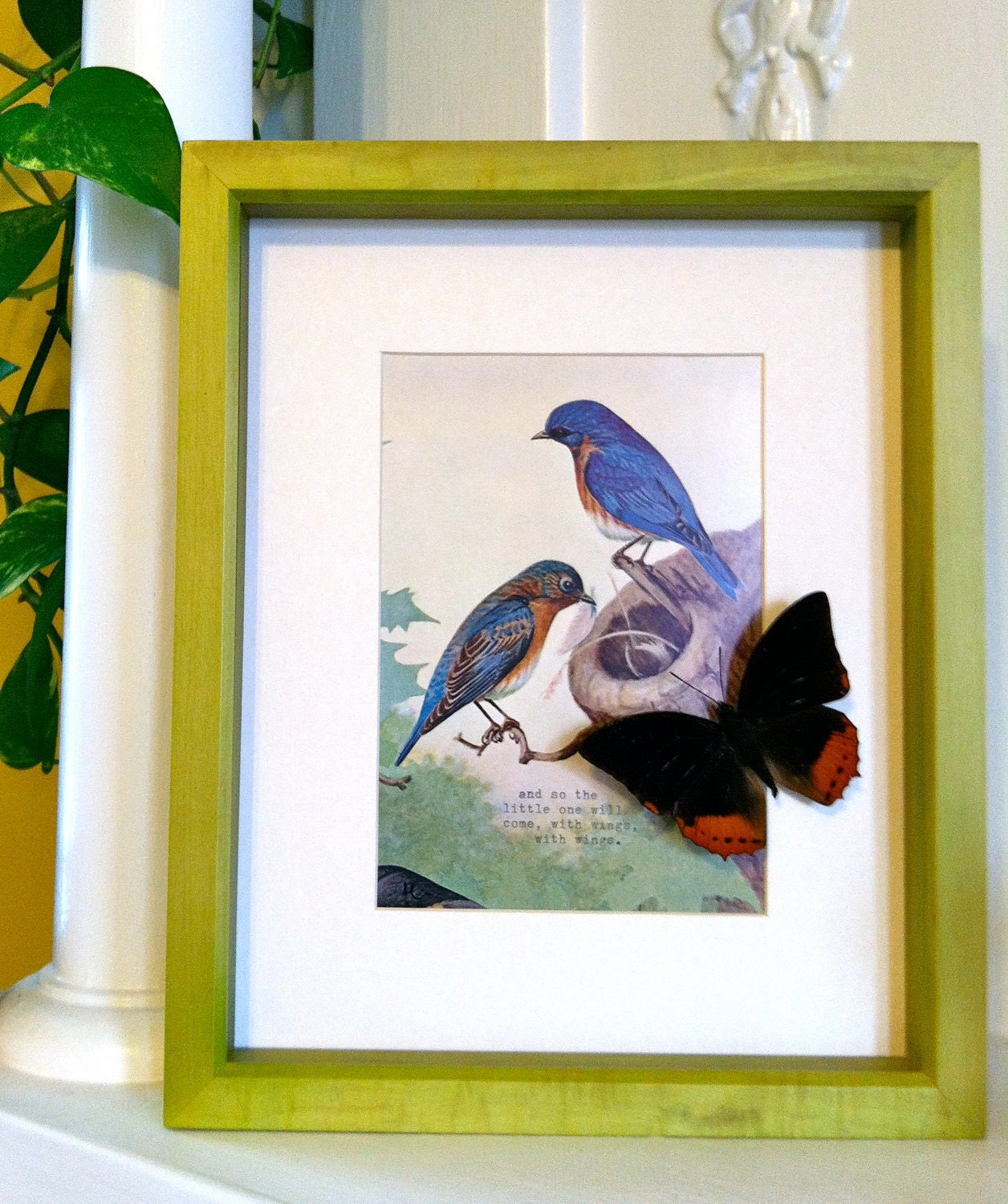bird and butterfly on etsy