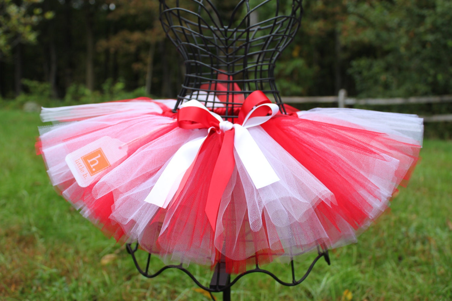 IMAGE: http://img0.etsystatic.com/il_570xN.290354196.jpg