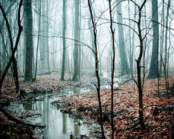 Winding Creek. nature photography . once upon a time . affordable home decor . woodland wall art. featured in Golden Globes gift lounge