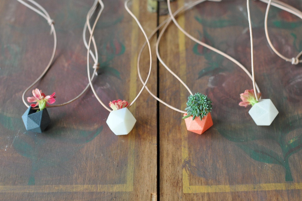 Miniature Wearable Planter Gift Set: Icosahedrons