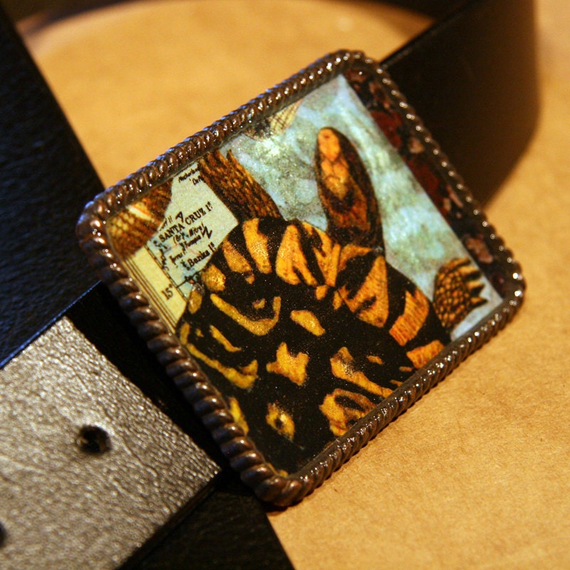 buckle4