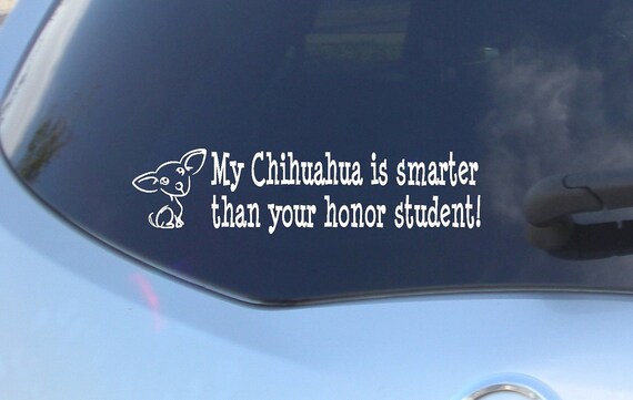 My Chihuahua is smarter...