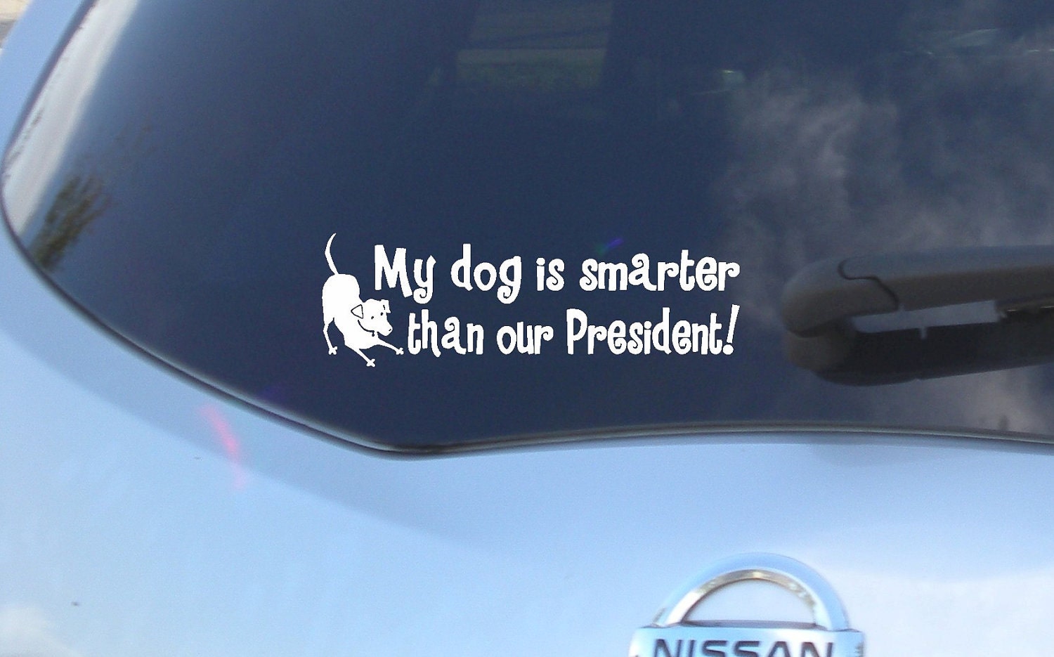 My Dog is smarter than...