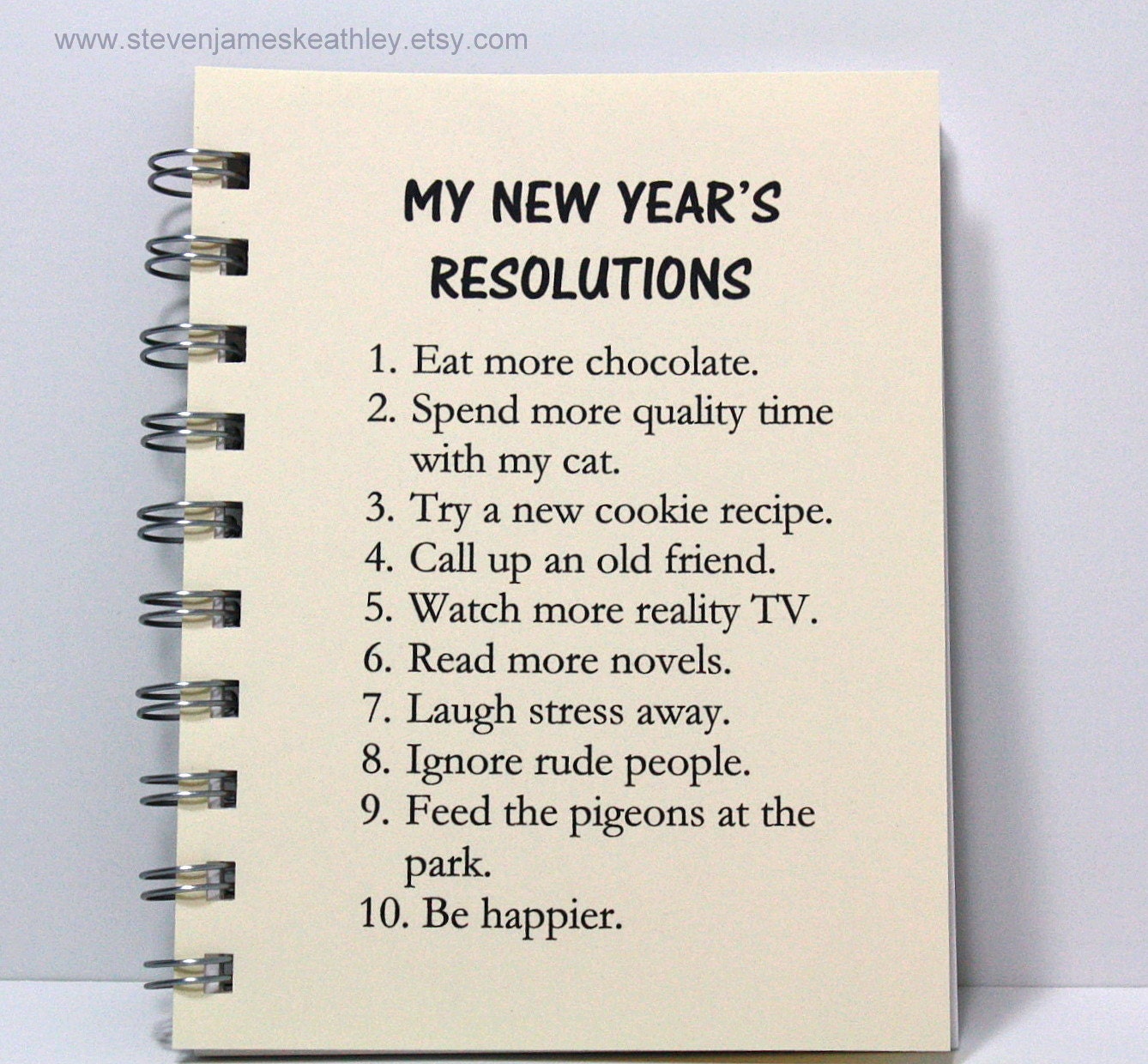 New Year's Resolutions Journal Diary Notebook Idea Book
