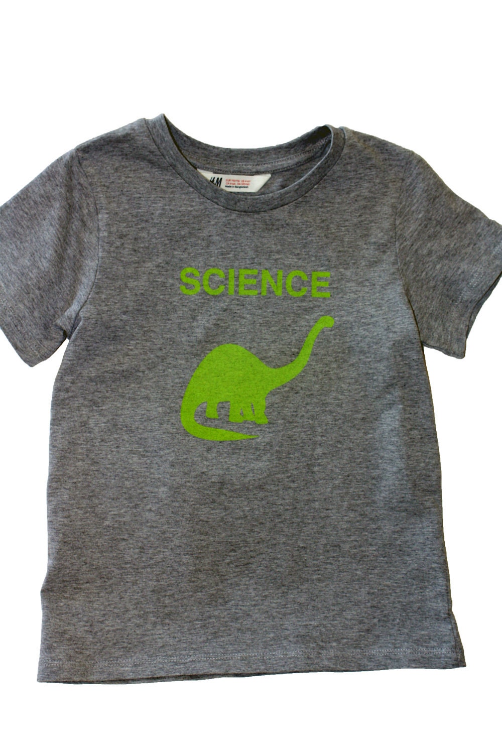 children's grey dino science t-shirt children's grey dino science t-shirt