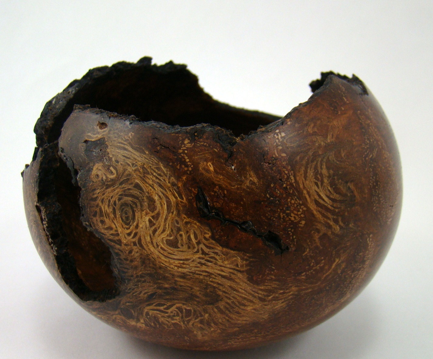 Ancient Beauty - California Black Oak Burl Bowl