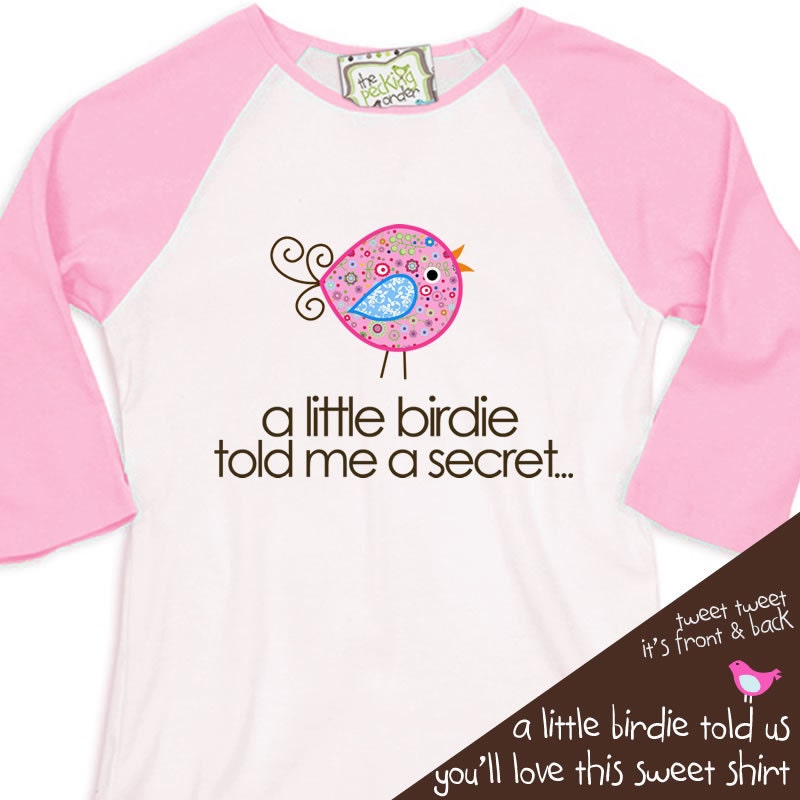 big sister shirt  - big sister to be pregnancy announcement shirt 3/4 RAGLAN sleeve WHIMSY BIRD
