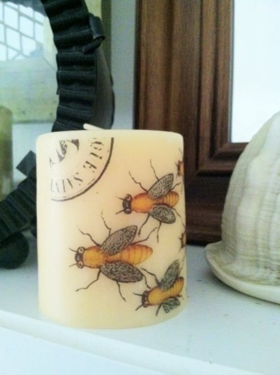 ����������� ����� Bee �����
