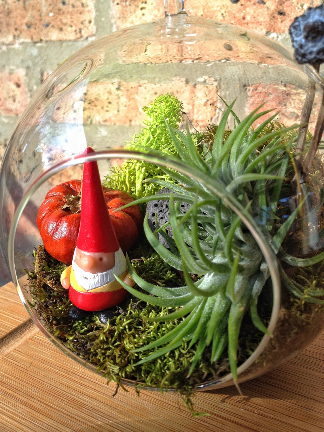 Gnome and Air Plant Moss Terrarium - A Perfect Birthday Gift