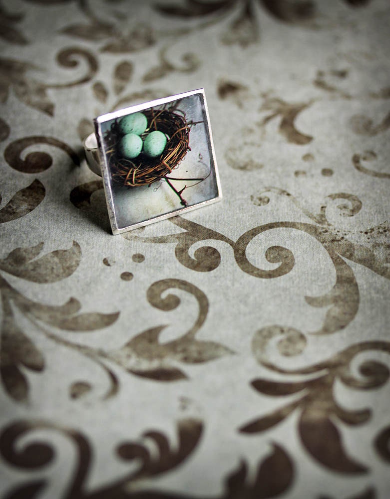 Ode to Spring 15% OFF Robin Egg Ring - Large Cocktail Ring - Photo Jewelry - A Place to Call Home  - original photography