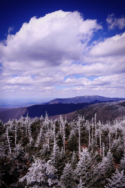 Wintry View of the Tennessee Appalachian Mountains - 11x14 fine art print