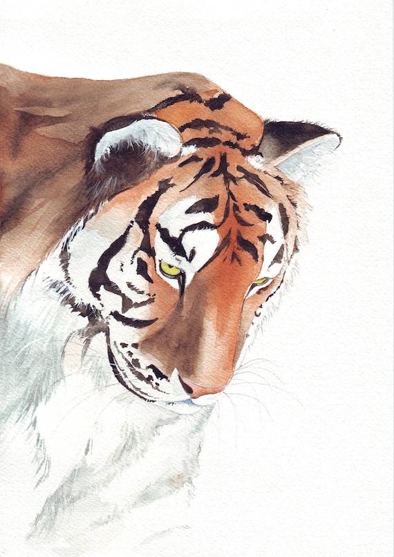 Tiger Painting- animal print of watercolor painting - 5 by 7