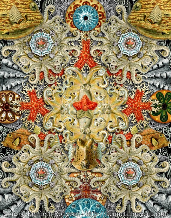 Forms of Nature #5 Forms of Nature #5
