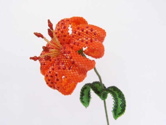 Turk's Cap Lily