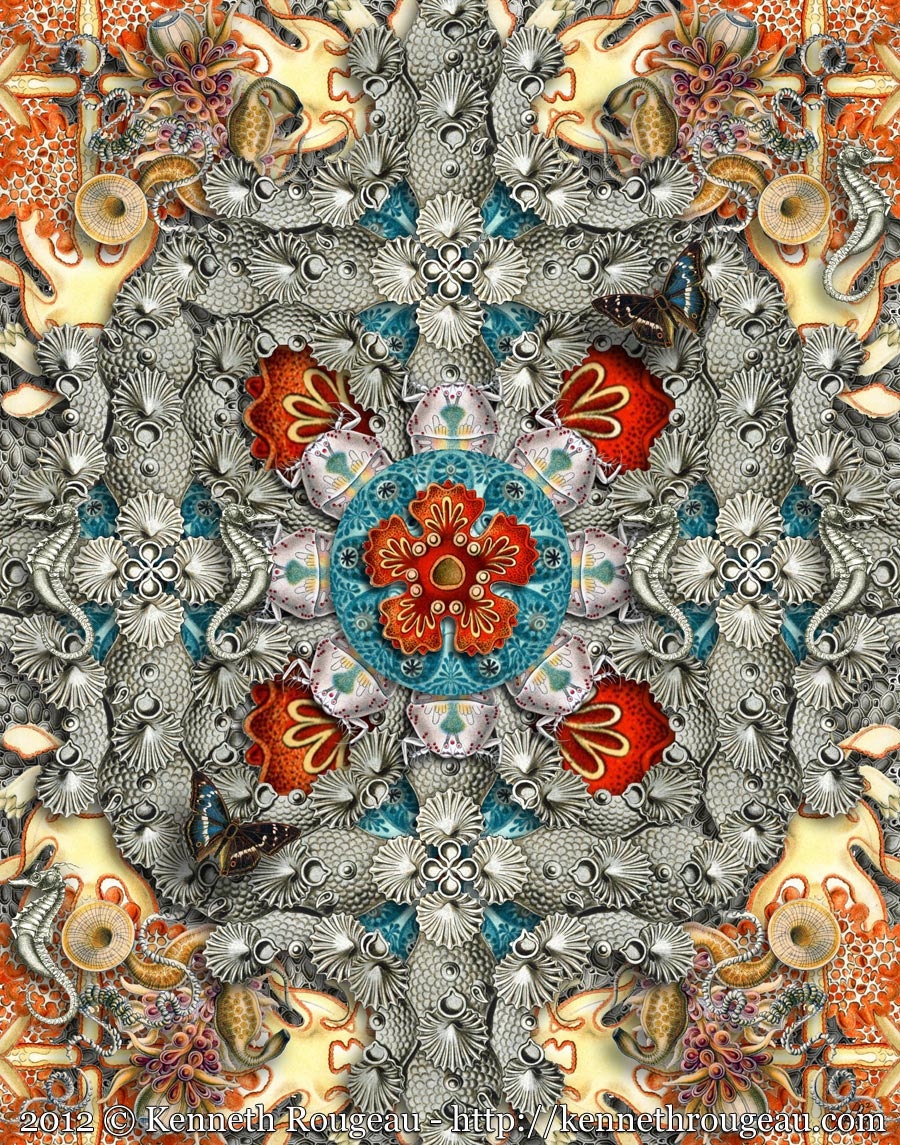 Forms of Nature #9 Forms of Nature #9