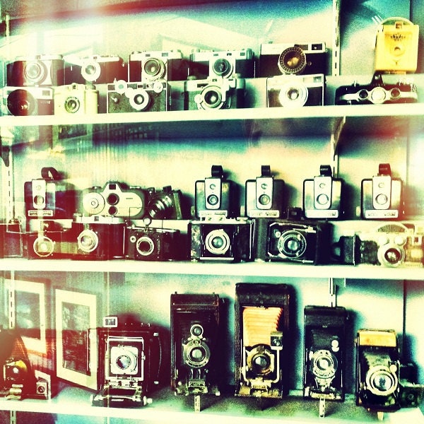 Vintage Cameras in Shop Window, home decor, wall art, 5x5 fine art photo