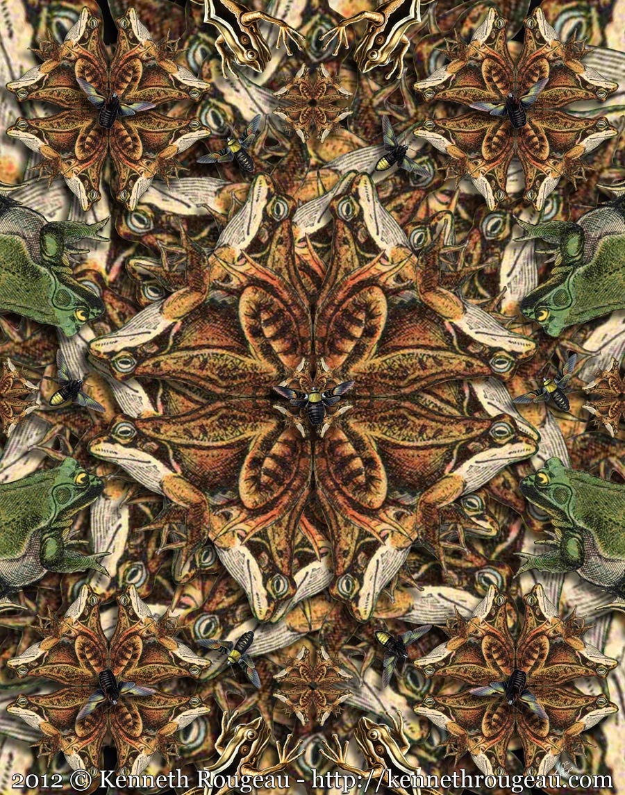 Forms of Nature #11: Frogs Forms of Nature #11: Frogs