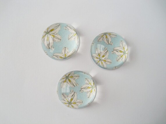 Spring Flower Magnets, Fridge Magnets, Floral Magnet Gift Set, Vintage Flower Magnets, Acrylic Bubble Magnets - Teacher Gifts