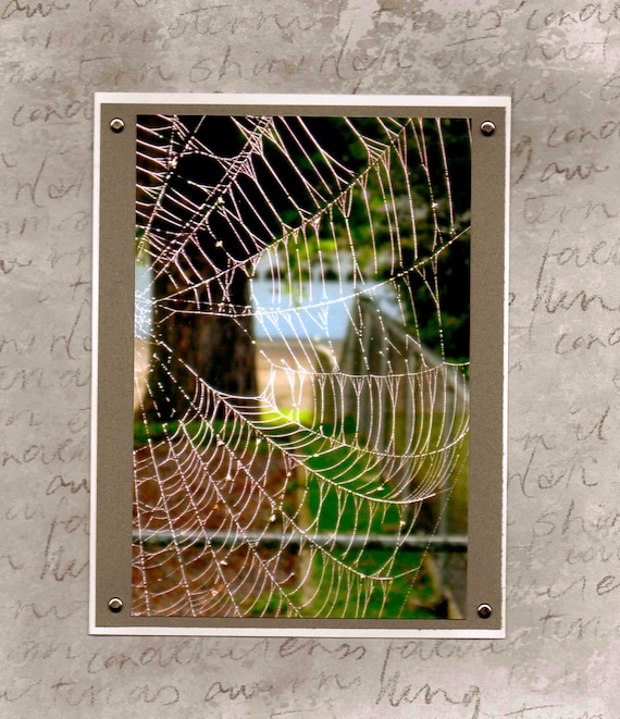 Outdoor Spider Web Scene with Tree Handmade Greeting Card for Nature Lovers