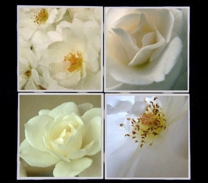 Pallid Petals Ceramic Coaster Set $20