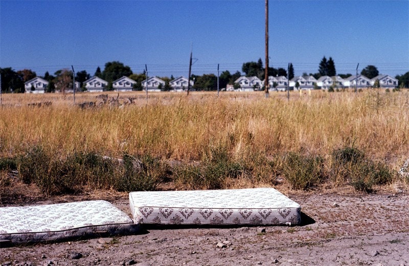 A nice place for a nap - 8x10 Photograph