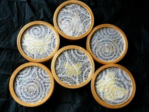 Bamboo/Glass Butterfly Vintage Serving Tray with 6 Butterfly Coasters