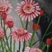 Pink Daisies. Oil Painting.