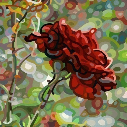 Abstract Fine Art Print - Last Rose of Summer