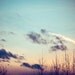 sunset nature photograph / winter, twilight, dusk, sundown, blue, purple, pink, peach / december twilight / 8x10
