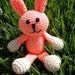 PDF - Sassy The Bunny Amigurumi Crochet Pattern
