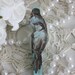 Blue bird clothespins,shabby chic